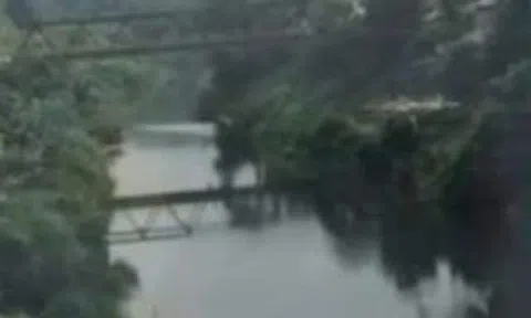 Lũ nhỏ ở hoa quả sơn