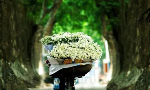 Bao nhiêu tiền cho một... mùa xuân