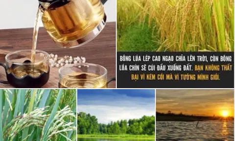 Khiêm nhường là vốn quý