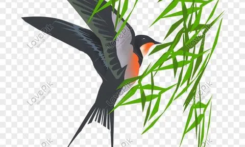 Mùa xuân tươi thắm đang về (Tản văn)