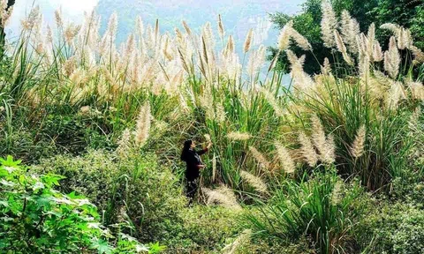 Một tình yêu người lính