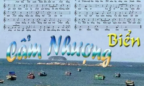 Ngọt ngào lời bình thi hữu