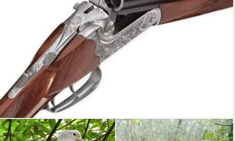 Thím tôi Phạm Ngân Hà (Kỳ 3)