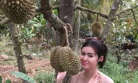 Tết Tây Nguyên