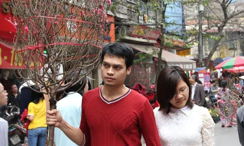 Hà Nội chơi đào Tết