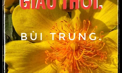 Văn nghệ buổi giao thời