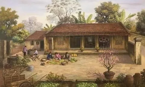 Cảm xúc ngày xuân