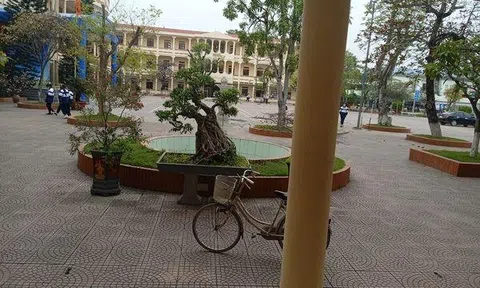 Dạy học thời cô vít