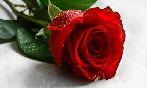 Ngày này năm 1968: Tổng tiến công nổi dây xuân mậu thân toàn miền nam