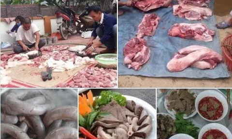 Lợn Tết