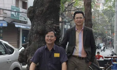 Hai lần bị bức tử, cây Bàng vẫn nở hoa kết trái, xanh tươi hơn
