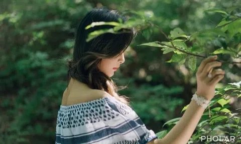 Gieo gì gặt nấy