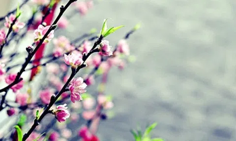 Ra tết và ra giêng