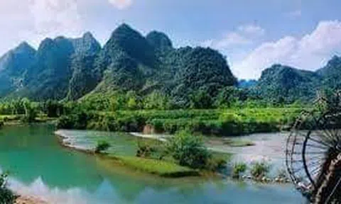 Con ngựa hoang - Cánh đại bàng đã trở về với núi