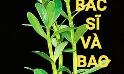 Người bác sĩ và bao rau đắng