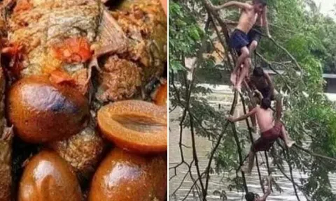 Tuổi thơ dữ dội nơi sơ tán