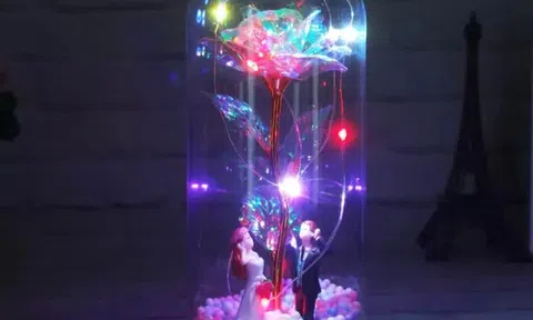 Valentine của cô ấy