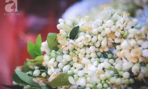 Bâng khuâng hương bưởi tháng ba