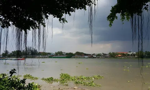 Mưa bên kia sông