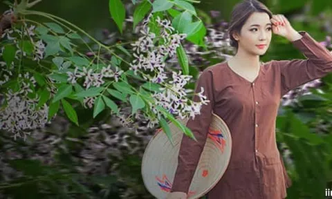 Hoa xoan tháng ba...