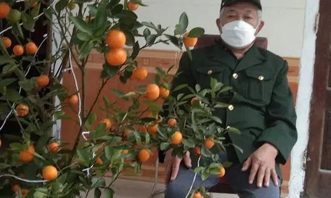 Ăn tham (Tản văn)