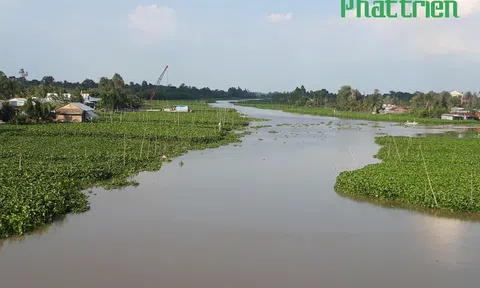 Cho ước mơ bay xa