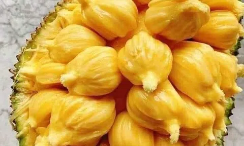 Không có người xấu