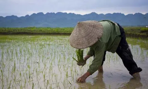 Hôm nay trời rét lắm