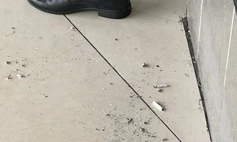 Một con gà đeo kim cương sẽ trở thành...con gì?