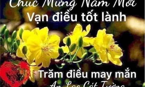 Đám cưới bạc trong mơ