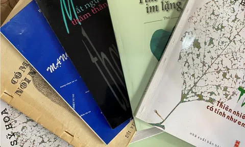 Bút pháp triết lý“ Muối mặn gừng cay” trong thơ Bùi Sĩ Hoa