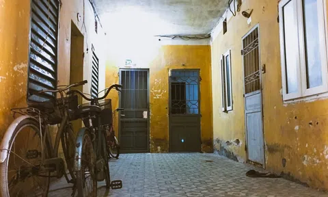 Nhà tập thể