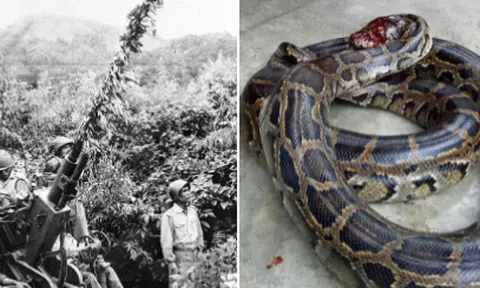 Bắn trượt (Truyện ngắn)