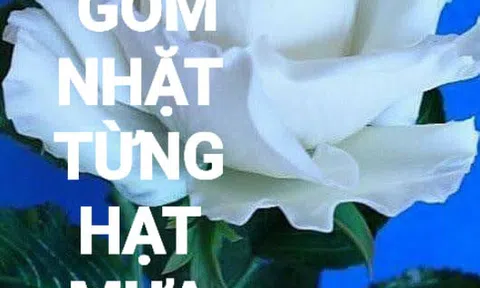 Gom nhặt từng hạt mưa xuân