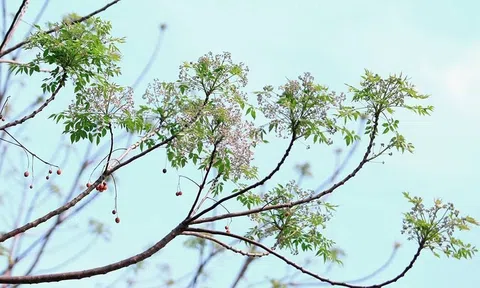 Đi tìm nhau