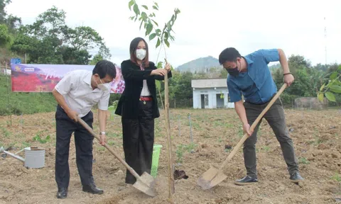 Dự án "Mây Hồng – Phủ hồng đồi xanh": Khoác tấm áo hoa mới cho huyện Khánh Sơn