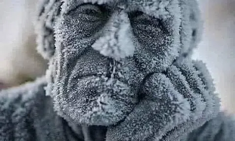 Cụ già trong bão tuyết