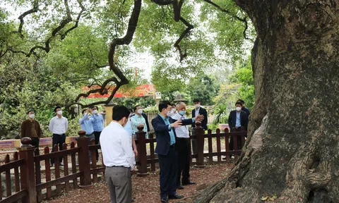 Kiểm tra phát triển kinh tế xã hội tại huyện Lạng Giang (Bắc Giang)