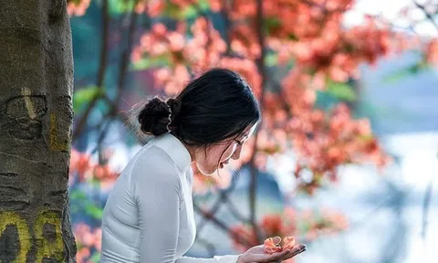 Cá sẩy luôn là cá to