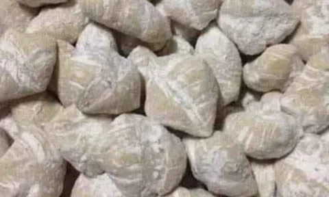 Có một thời như thế