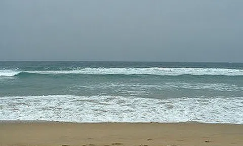 Vị mặn mòi của biển