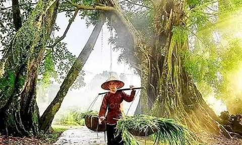 Nghị lực