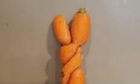 Ngẫm