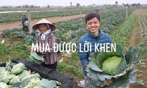 Mua được lời khen