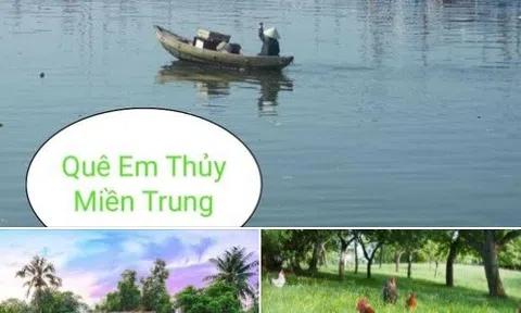 Bỏ phố về quê