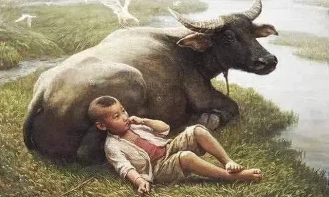 Một kỷ niệm về em tôi