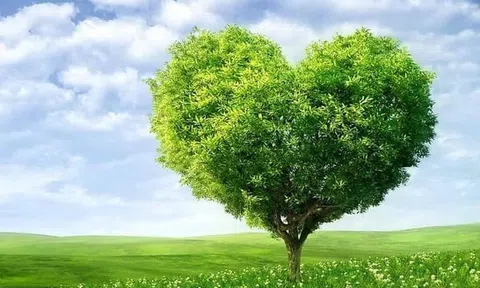 Thế nào là sướng