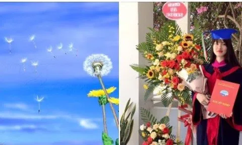 Để gió cuốn đi