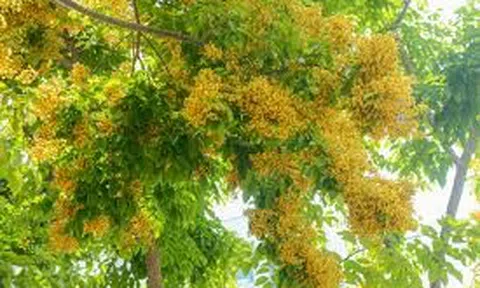 Đừng nghe đàn ông nói