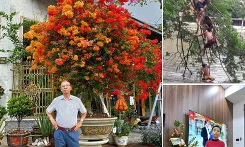 Niềm vui nho nhỏ